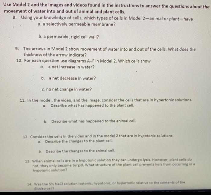 Model 2 Osmosis In Plant And Animal Cells External Chegg Com