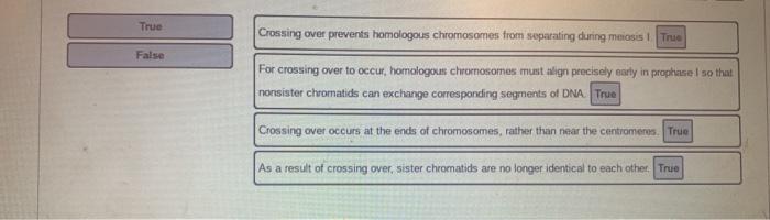 solved-true-crossing-over-prevents-homologous-chromosomes-chegg