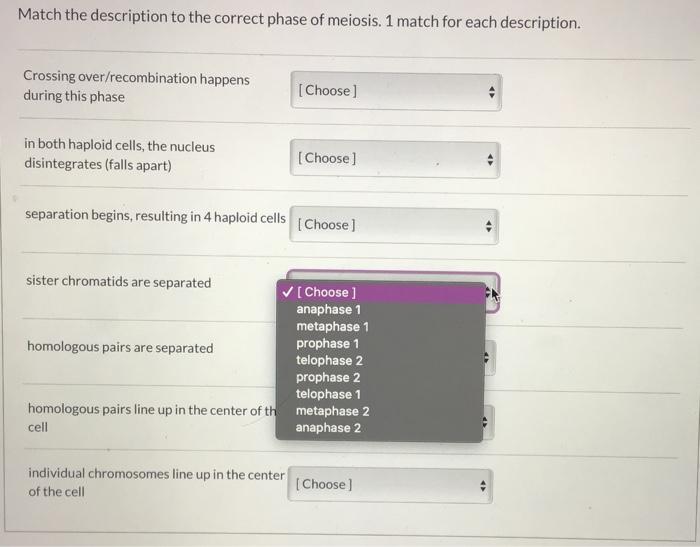Solved Match the description to the correct phase of | Chegg.com