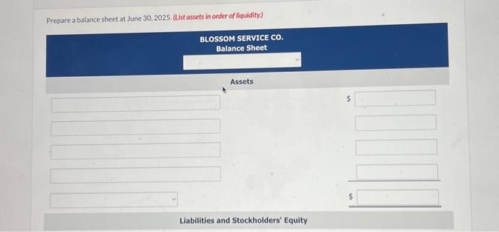 Solved Prepare a balance sheet at June 30, 2025. (tist | Chegg.com