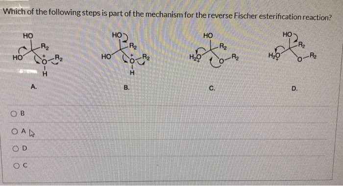 Solved Which of the following steps is part of the mechanism | Chegg.com