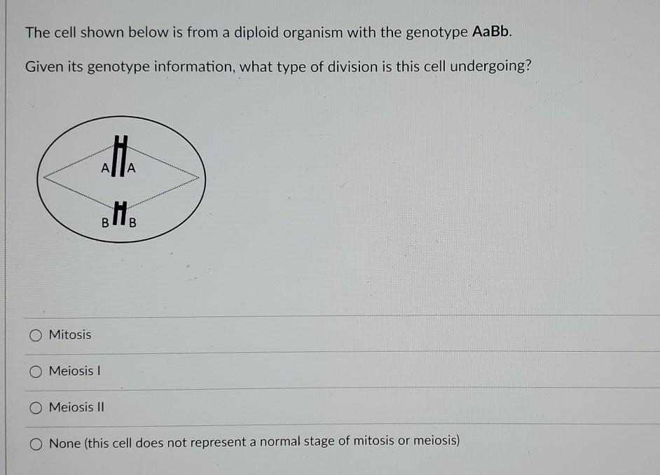 Solved The cell shown below is from a diploid organism with | Chegg.com