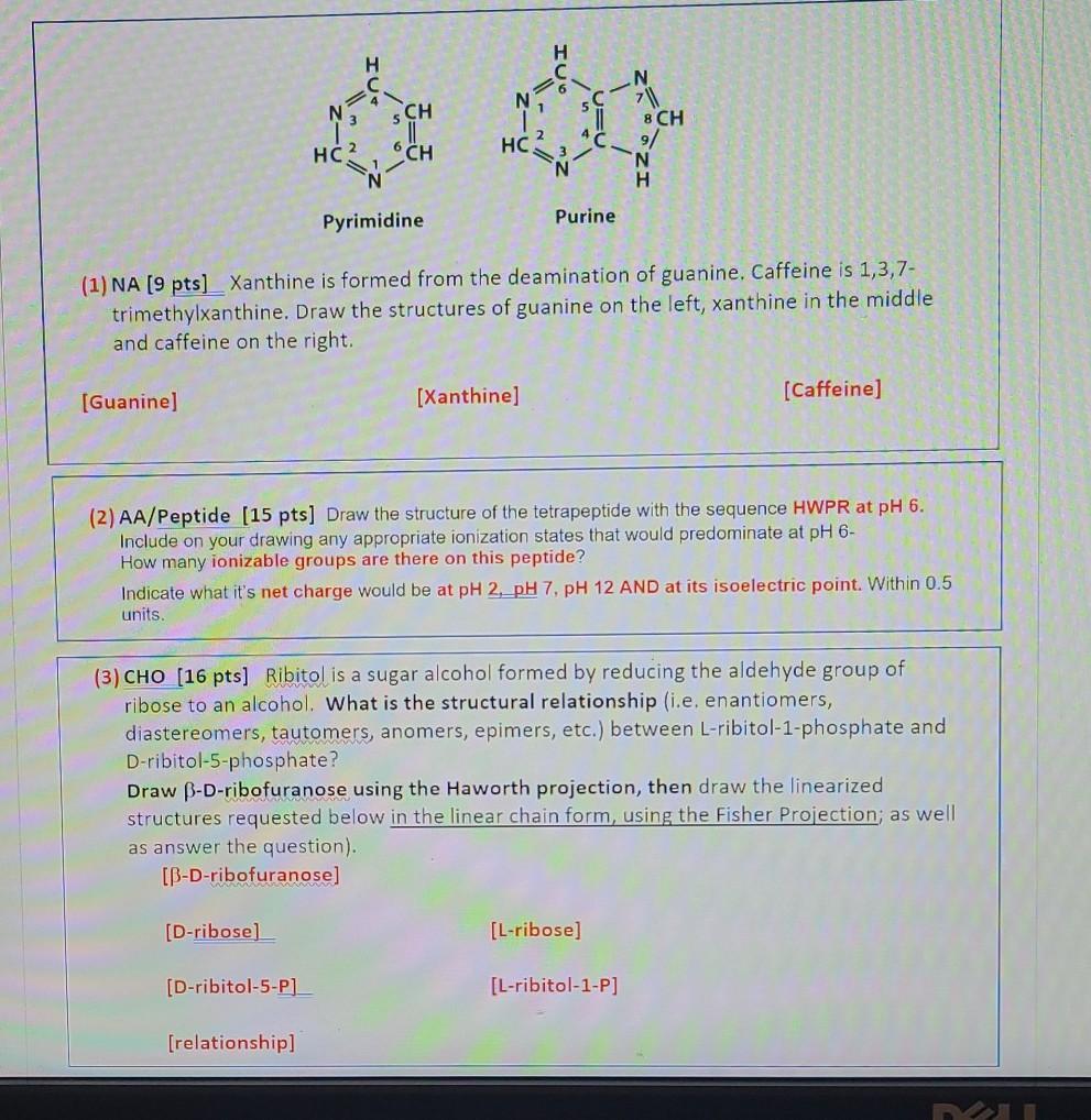 Solved H H C S N 7 N Ch 8 Ch Hc Hc Ch 9 N H N Pyrimidi Chegg Com