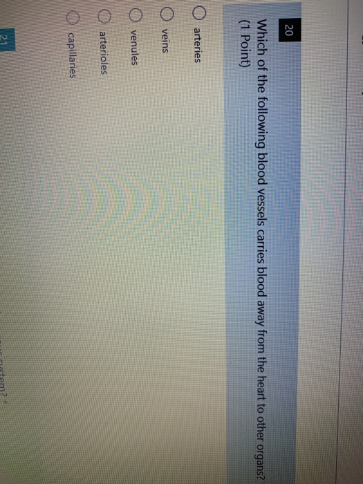 Solved 20 Which of the following blood vessels carries blood