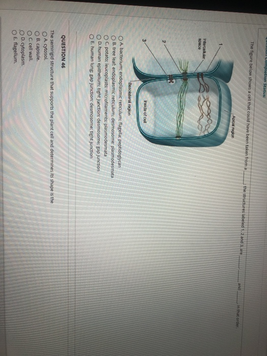 Solved JUN Completion Status The figure below shows a cell | Chegg.com