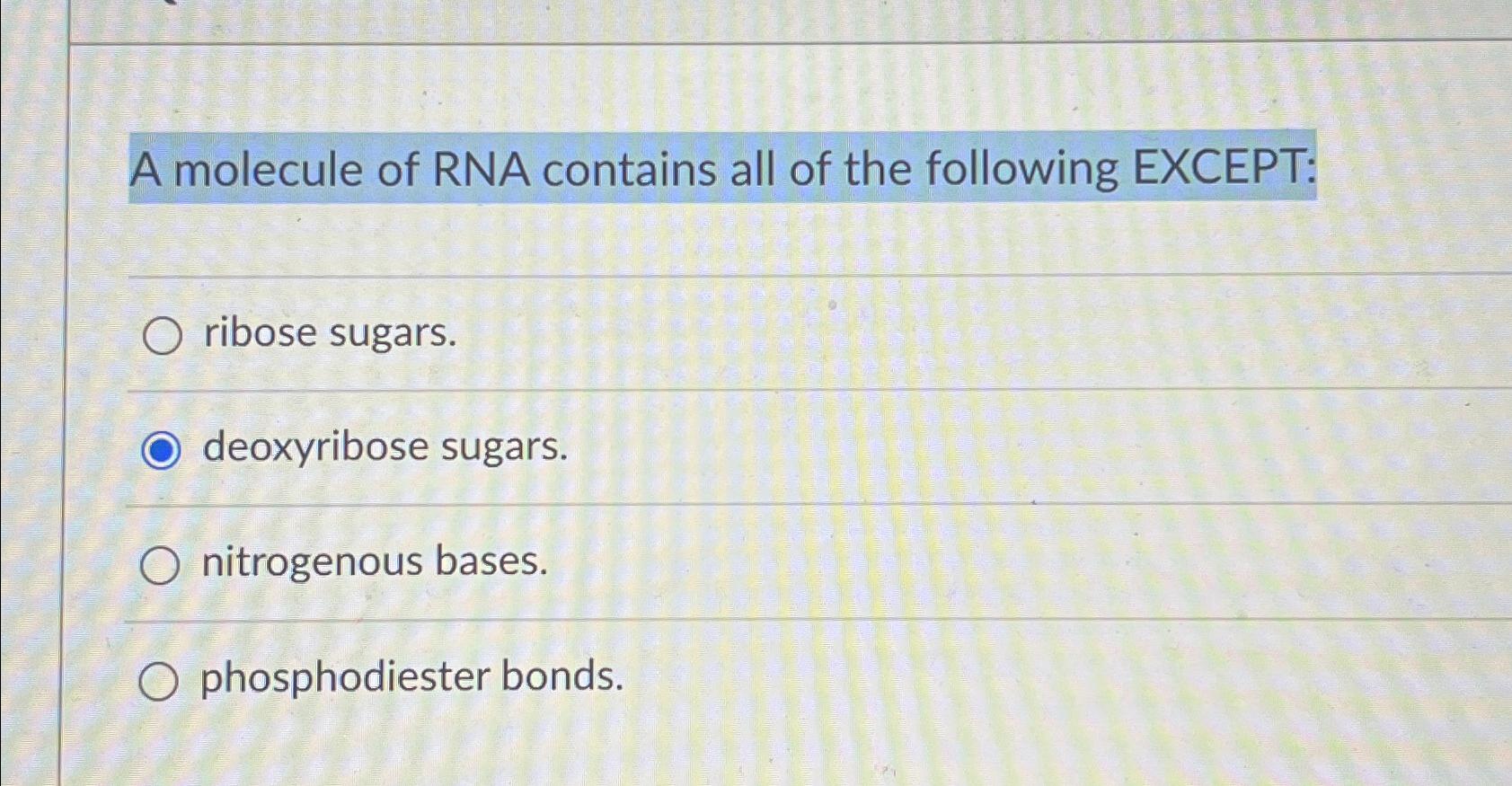 Solved A molecule of RNA contains all of the following | Chegg.com