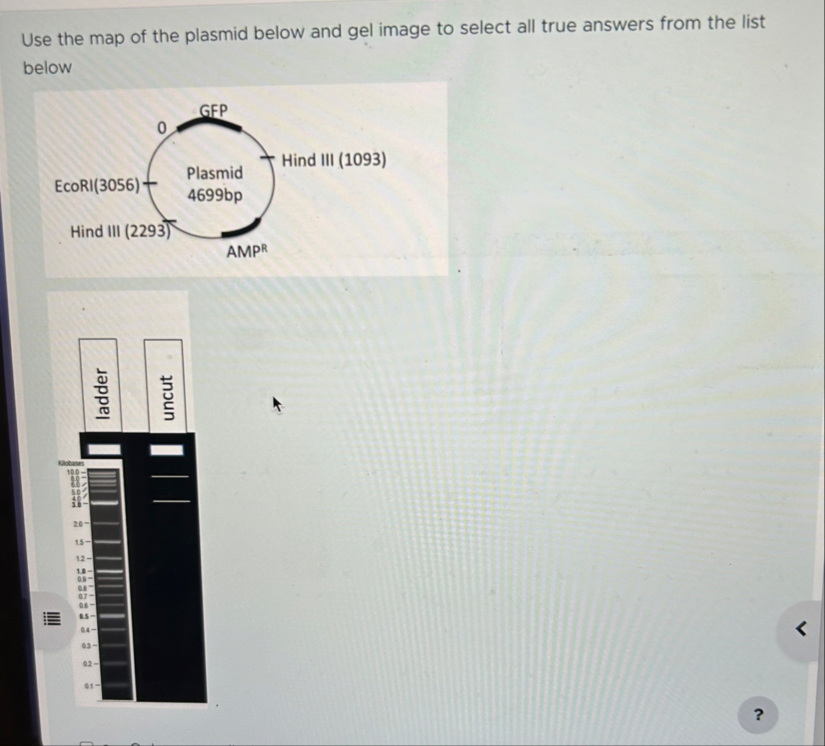 Solved Use the map of the plasmid below and gel image to | Chegg.com