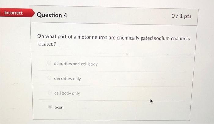 Solved Incorrect Question 4 0/1 pts On what part of a motor | Chegg.com