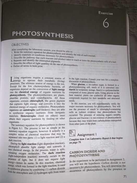 Solved Laboratory Report 6 de texte PHOTOSYNTHESIS Vo