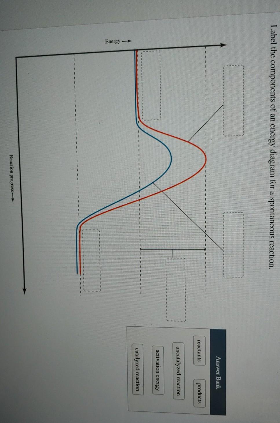 Solved Label the components of an energy diagram for a | Chegg.com