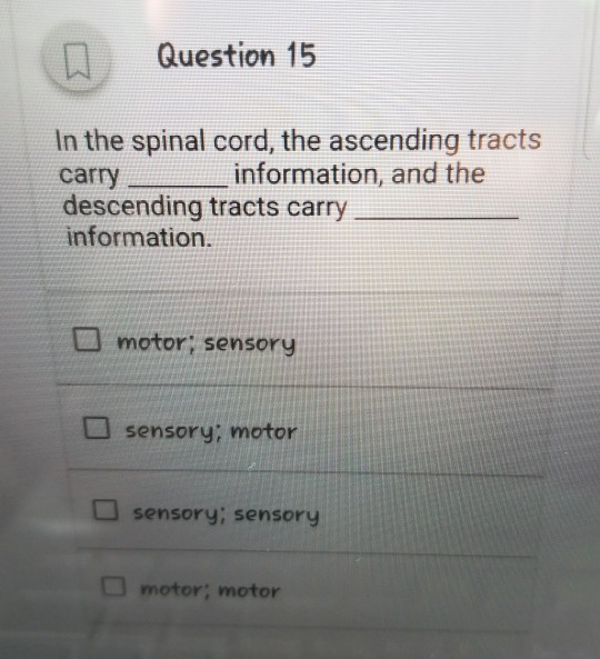 Solved Question 14 The white matter in the spinal cord is | Chegg.com