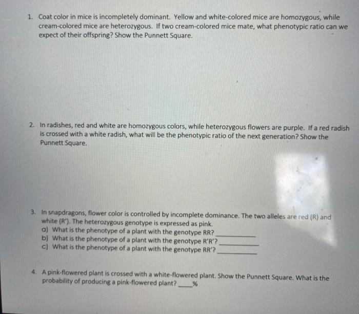 solved-1-coat-color-in-mice-is-incompletely-dominant-chegg