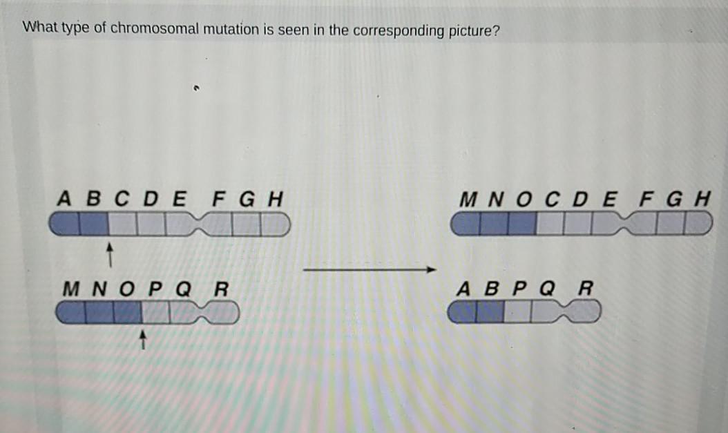 Solved a) duplication b) inversion c) reciprocal | Chegg.com