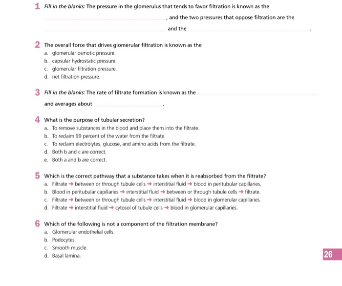 Solved Review the structure of the nephron by labeling and | Chegg.com