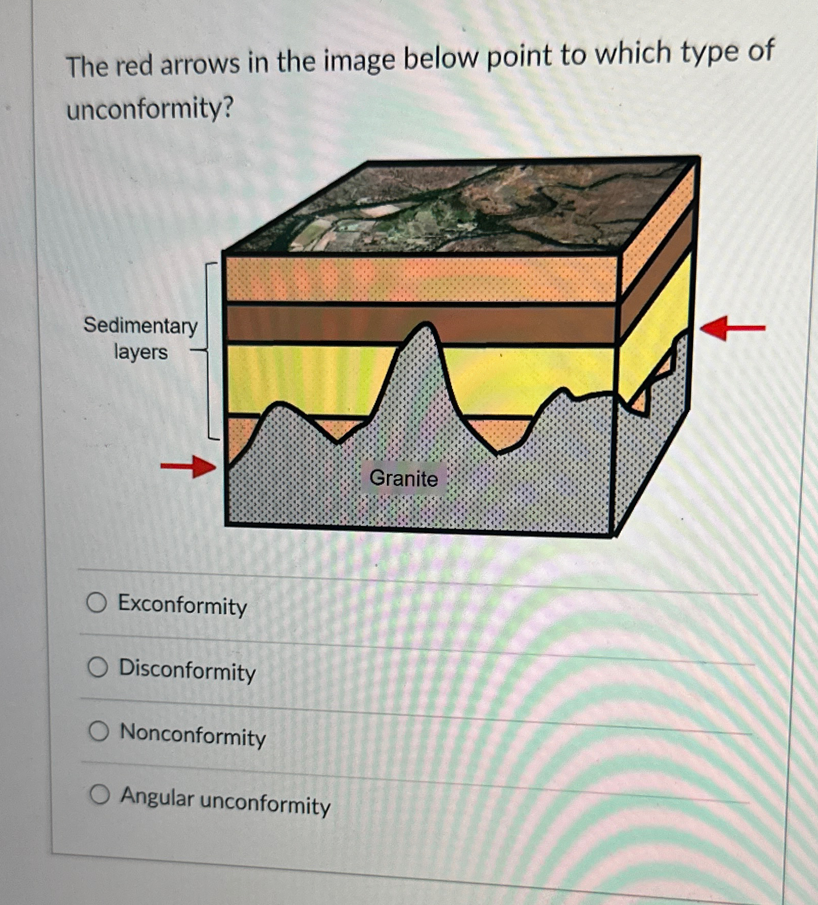 Solved The red arrows in the image below point to which type | Chegg.com