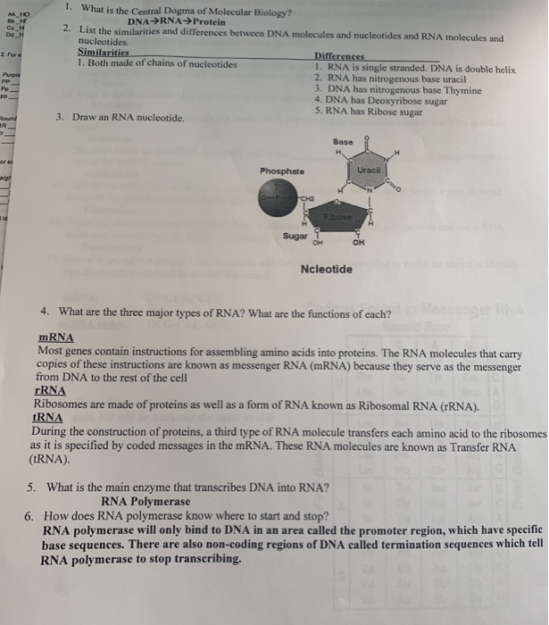 Solved M HO BH Сен DH 2. For 1. What is the Central Dogma of | Chegg.com