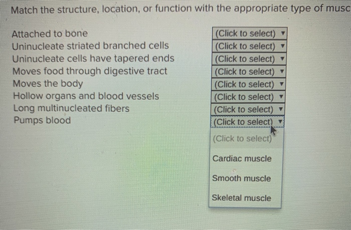 solved-match-the-structure-location-or-function-with-the-chegg