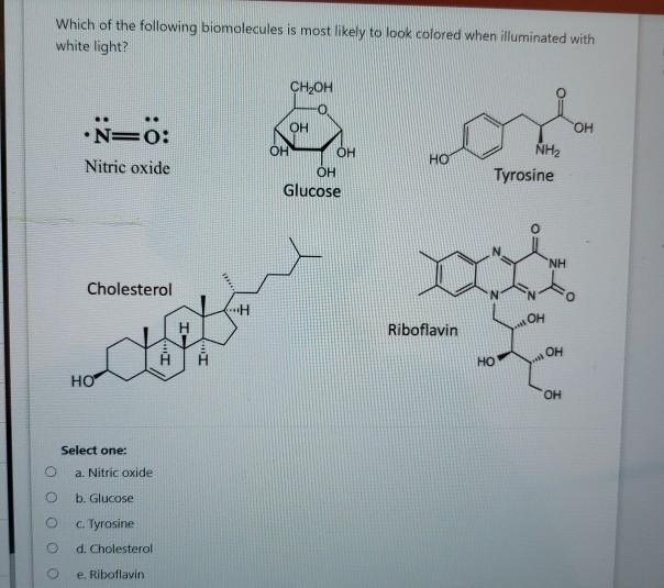 Solved Which of the following biomolecules is most likely to | Chegg.com