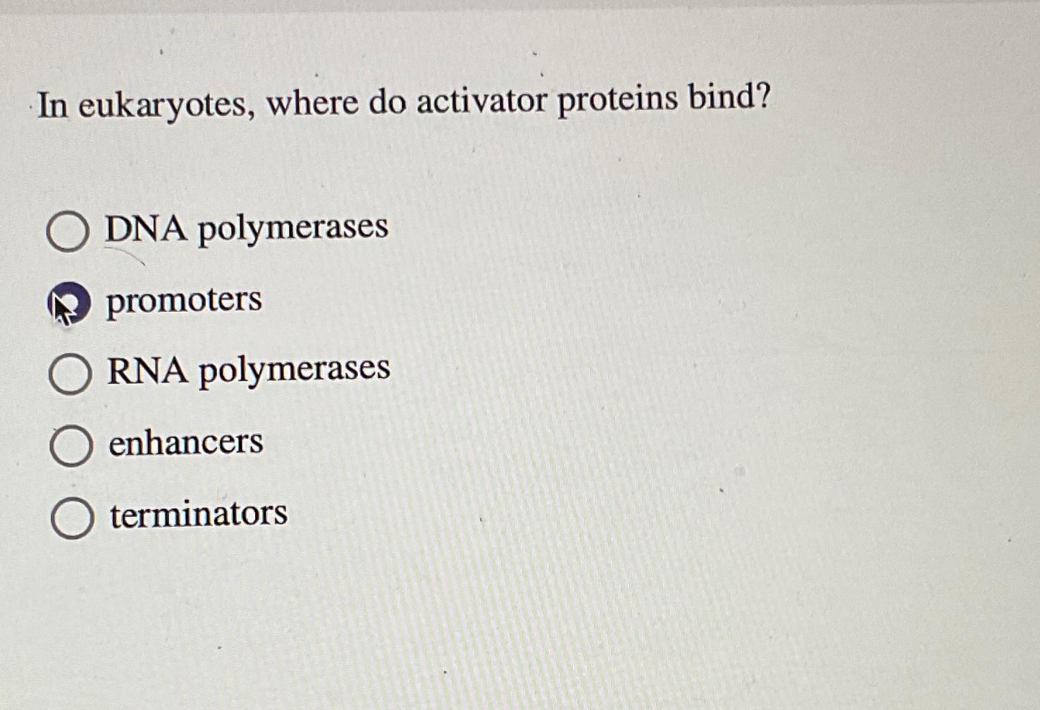 Solved In eukaryotes, where do activator proteins bind?DNA
