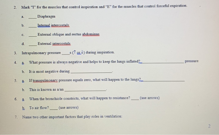 Solved Paragraph 1. 2. Fill in the missing organs of the | Chegg.com