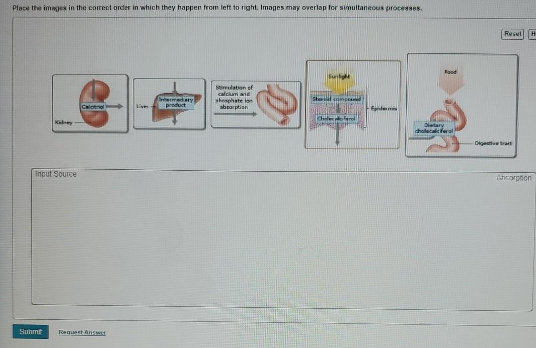 Solved Place the images in the correct order in which they
