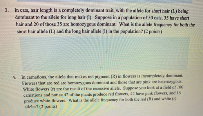 Solved 3. In cats, hair length is a completely dominant | Chegg.com