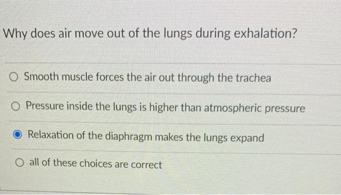 solved-why-does-air-move-out-of-the-lungs-during-exhalation-chegg