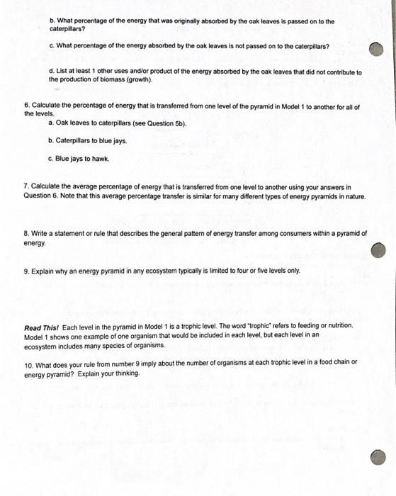Solved POGIL: Ecological Pyramids How does energy ffow | Chegg.com