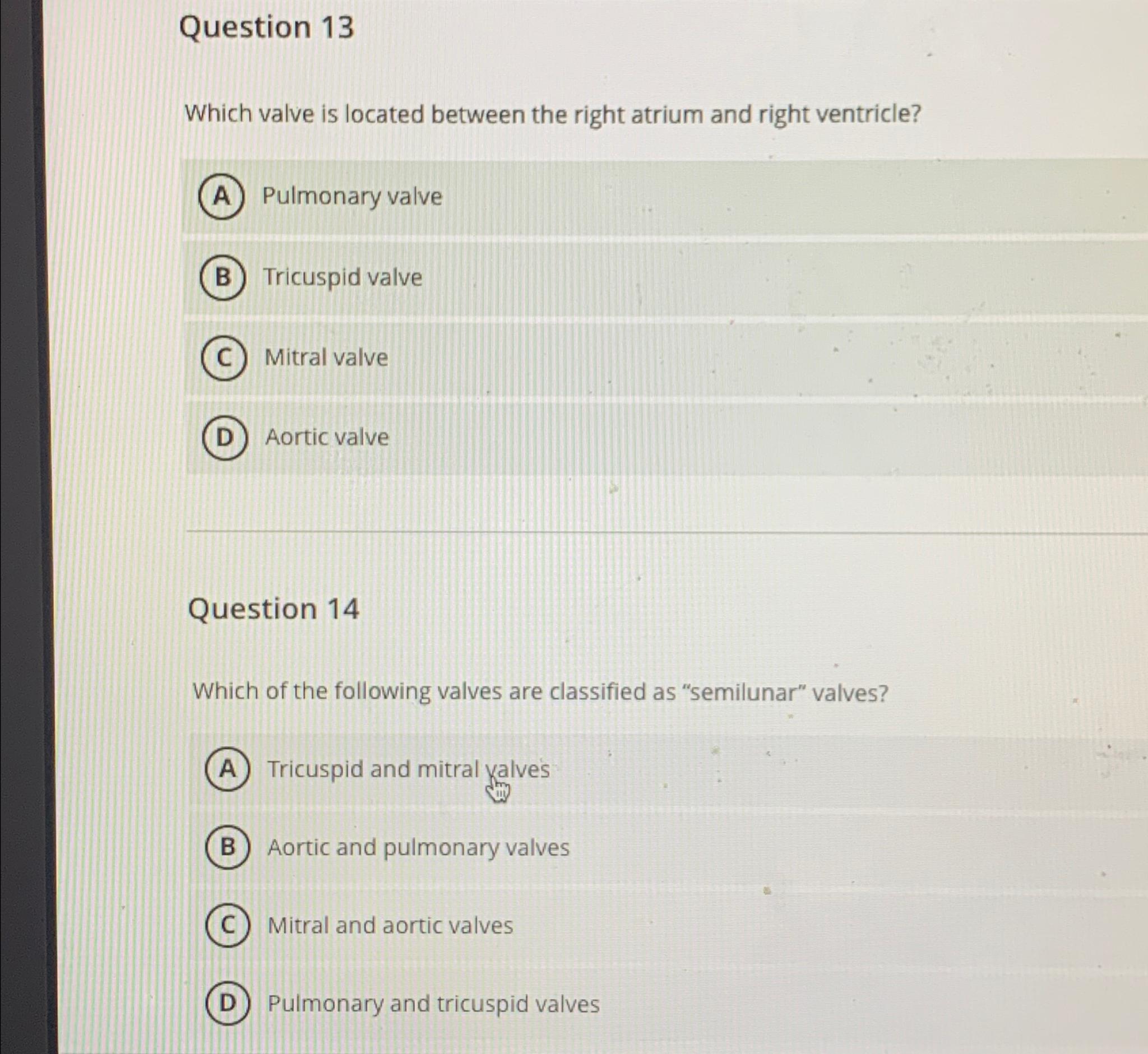 Solved Question 13Which valve is located between the right | Chegg.com