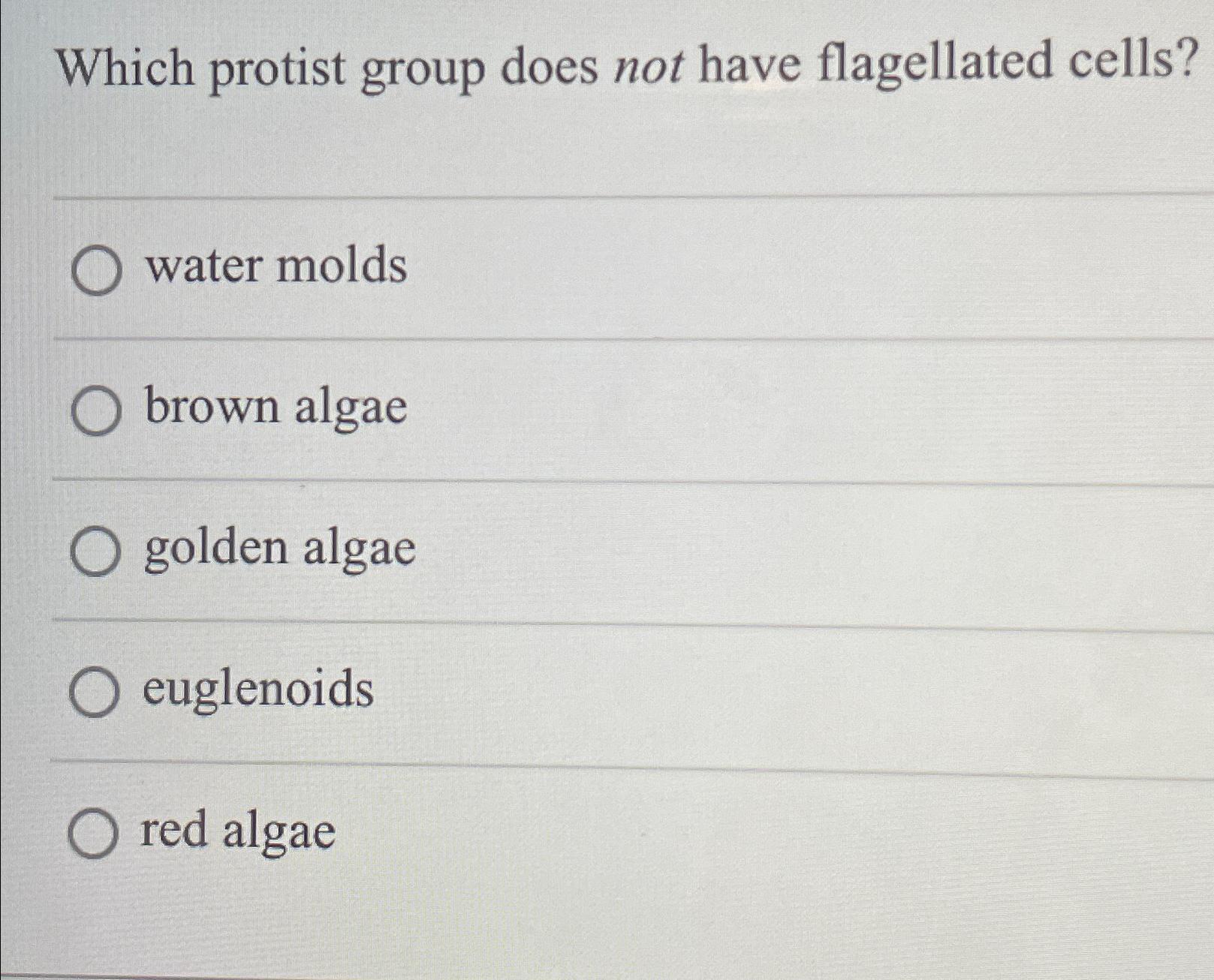 Which protist group does not have flagellated