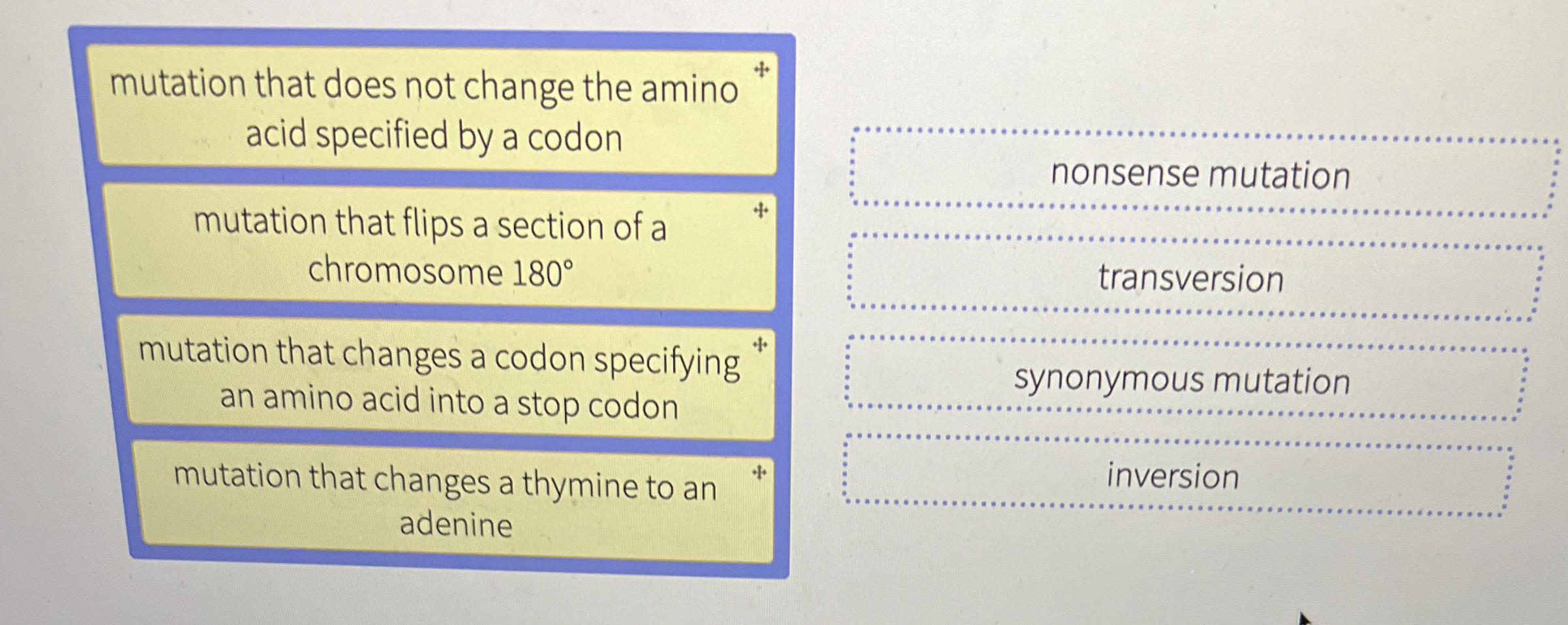 Solved mutation that does not change the aminoacid specified | Chegg.com