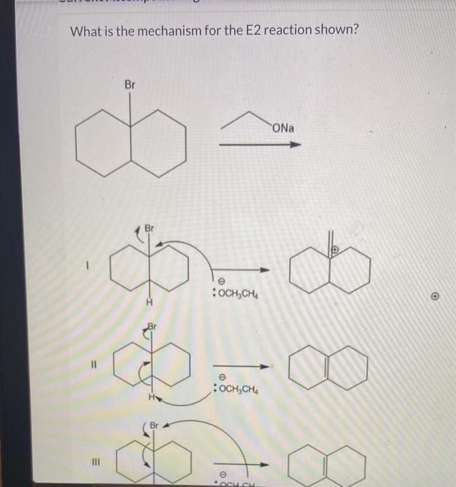 Solved What is the mechanism for the E2 reaction shown? Br | Chegg.com