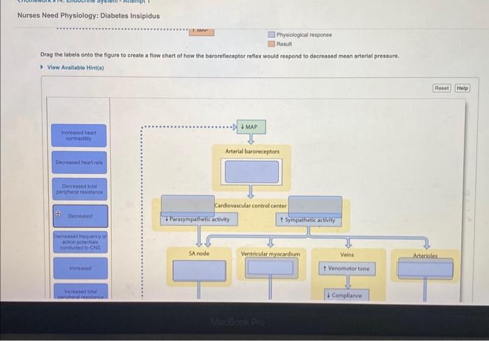 Drag the labels onto the flgure to ereate a flow chart of how the barorefieceptor reflex would respond to decreased mean arte