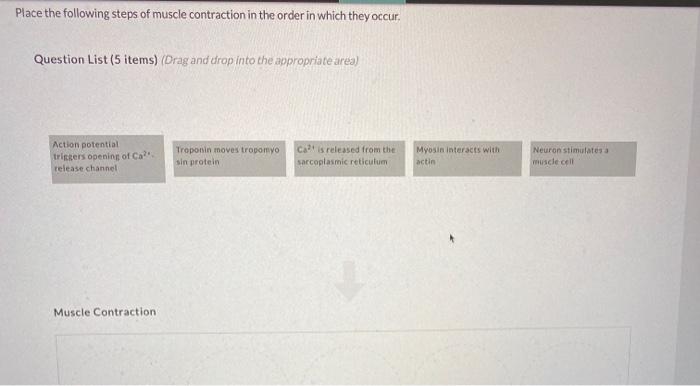 Solved Place the following steps of muscle contraction in | Chegg.com