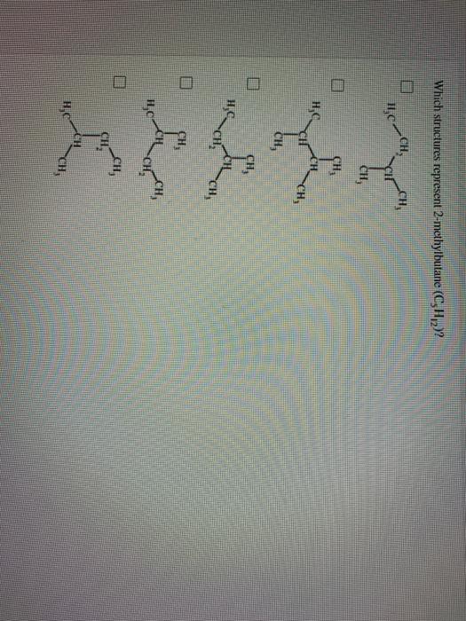 Solved Draw 22 Dimethylbutane Show All Hydrogen Atoms