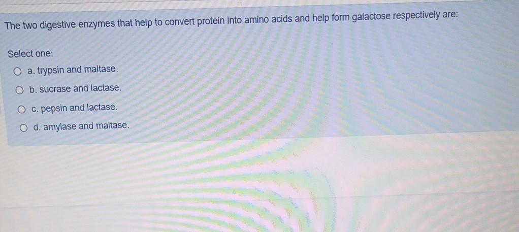 Solved The two digestive enzymes that help to convert | Chegg.com