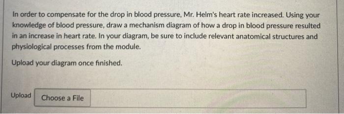 Solved In order to compensate for the drop in blood | Chegg.com