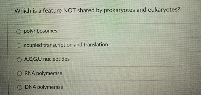 Which is a feature NOT shared by prokaryotes and eukaryotes? O polyribosomes O coupled transcription and translation O A.C.G.