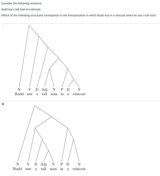 Consider the following sentence. Rudd saw a tall man
