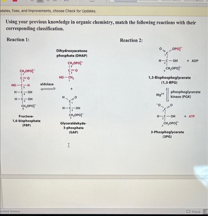 Solved Chapter 11 Enzyme Classification Part I. Enzyme