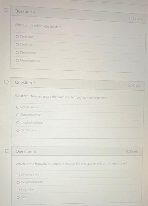 Solved D Question 4 0.25 pts Where is the arbor vitae | Chegg.com