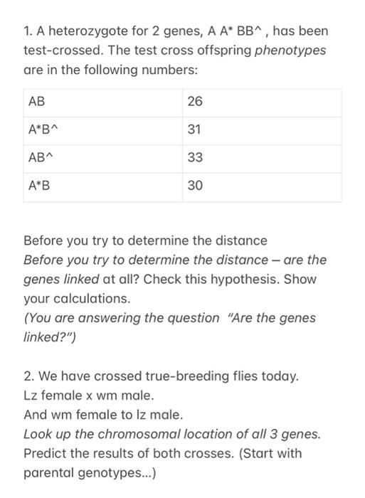 Solved 1. A heterozygote for 2 genes, AA∗B∧, has been | Chegg.com