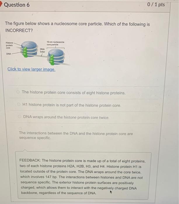 Solved Question 6 0/1 pts The figure below shows a | Chegg.com