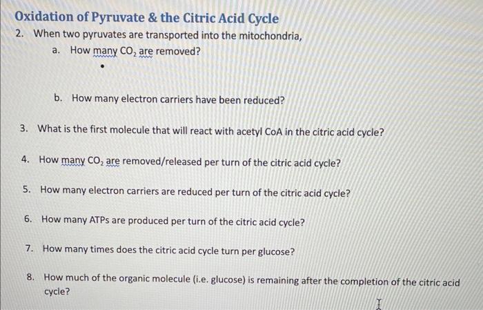 Solved Oxidation of Pyruvate & the Citric Acid Cycle 2. When | Chegg.com