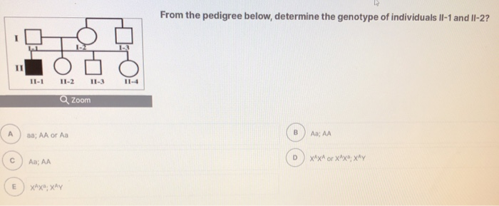 Solved From the pedigree below, determine the genotype of | Chegg.com