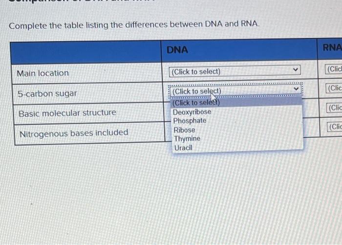 Solved Comparison of DNA and RNA Complete the table listing