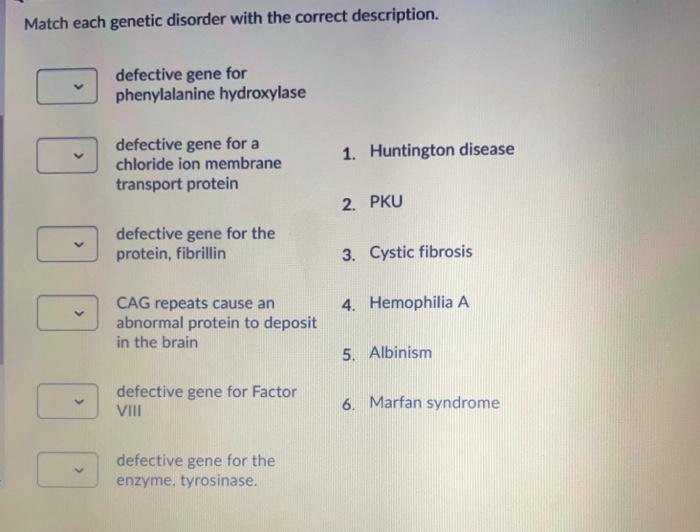 Solved Match each genetic disorder with the correct | Chegg.com