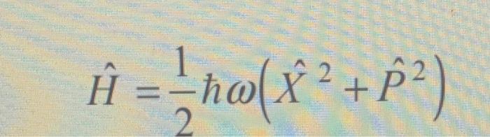 Solved Y P I U O X2 2 2 N Tya A Ta F Tz A Chegg Com