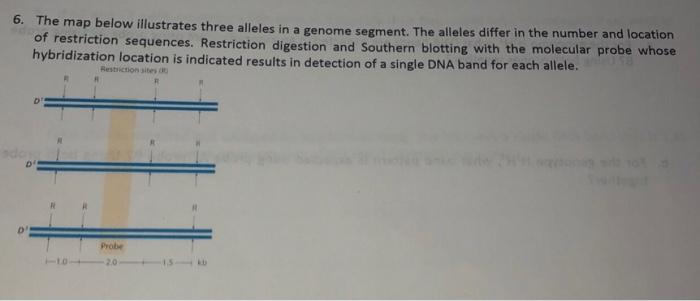 Solved 6. The map below illustrates three alleles in a | Chegg.com