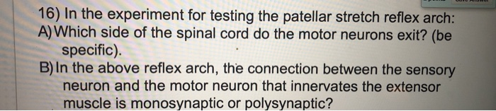 Solved 16) In the experiment for testing the patellar | Chegg.com